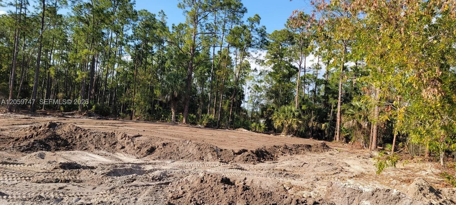 1305 E 11 St, Lehigh Acres, FL 33972 photo 4
