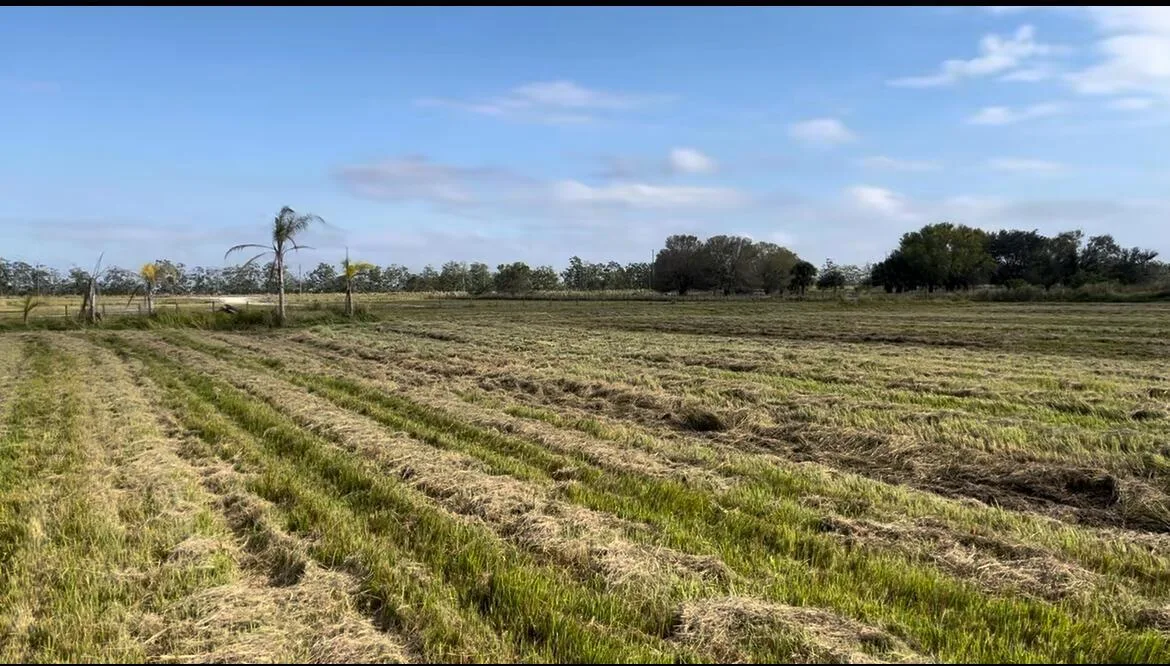 1503 S Header Canal Road, Fort Pierce, FL 34945 photo 3