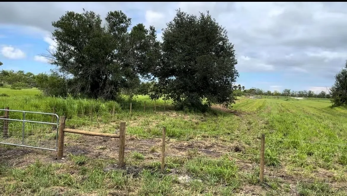 1503 S Header Canal Road, Fort Pierce, FL 34945 photo 6