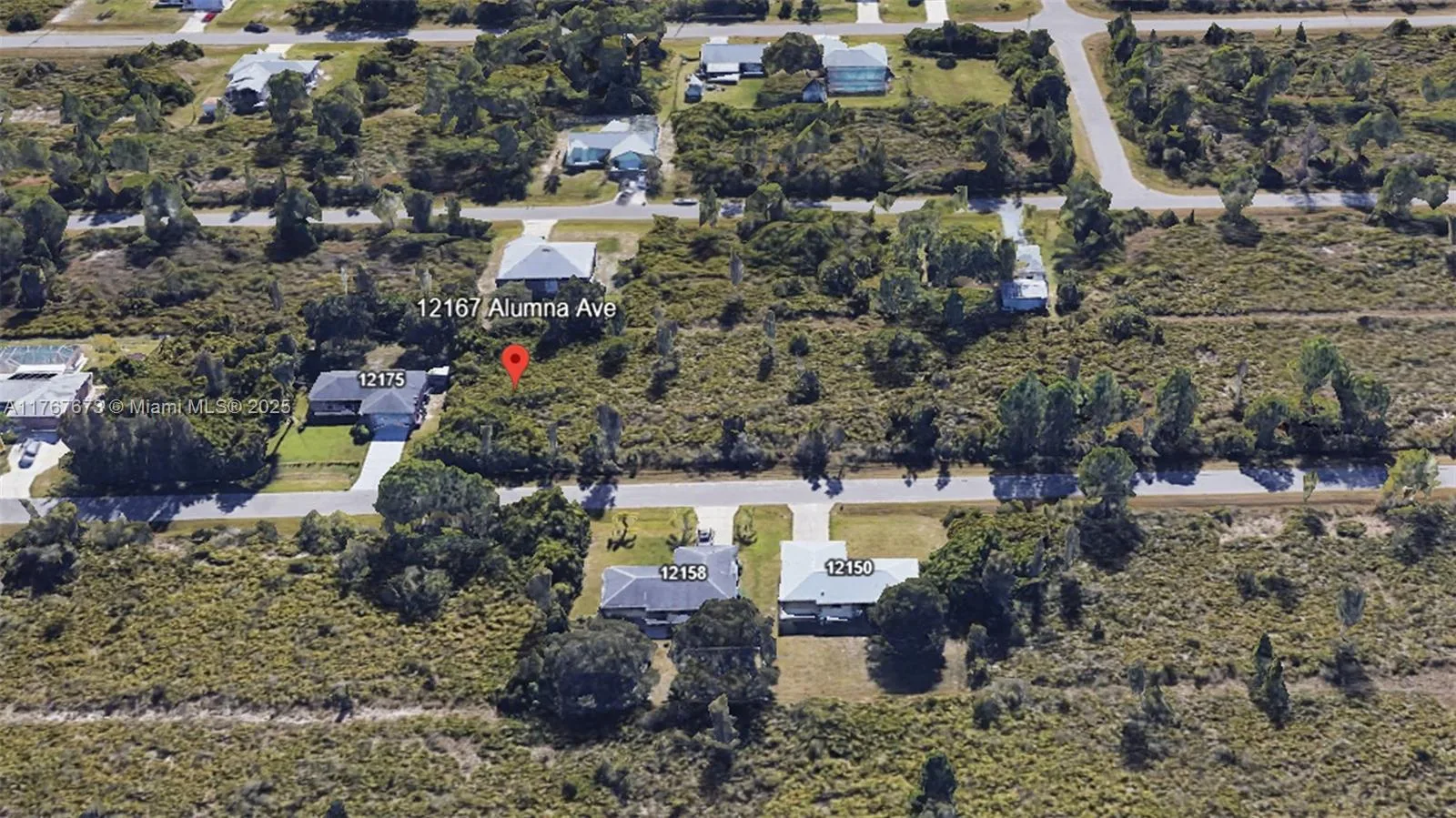 12167 Alumna Ave, Port Charlotte, FL 33981 photo 3