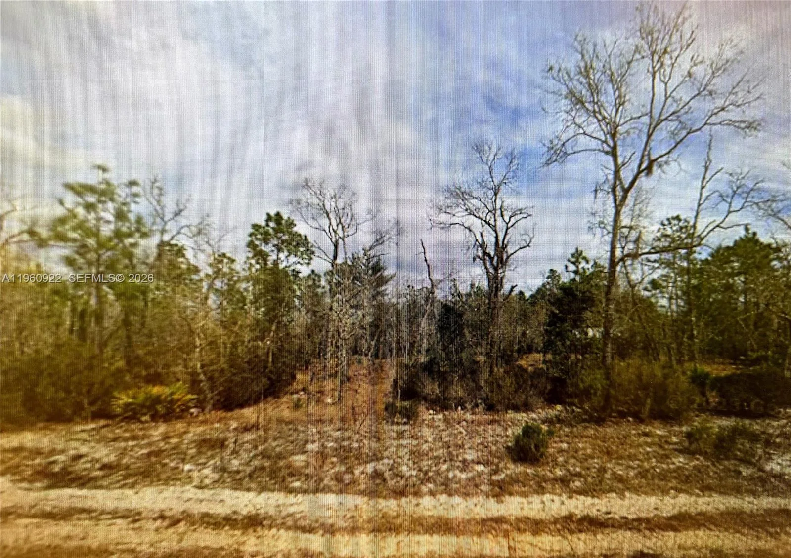 00 Hudson St, Palatka, FL 32148