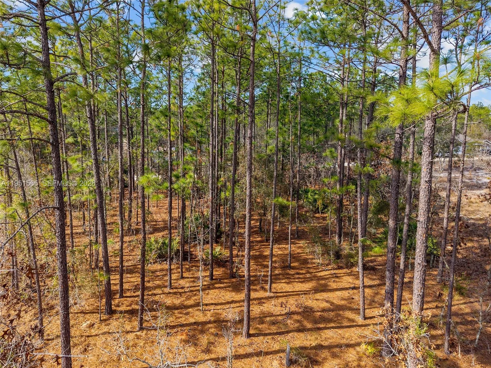 TBD SW 128th Terrace Road, Ocala, FL 34481 photo 11