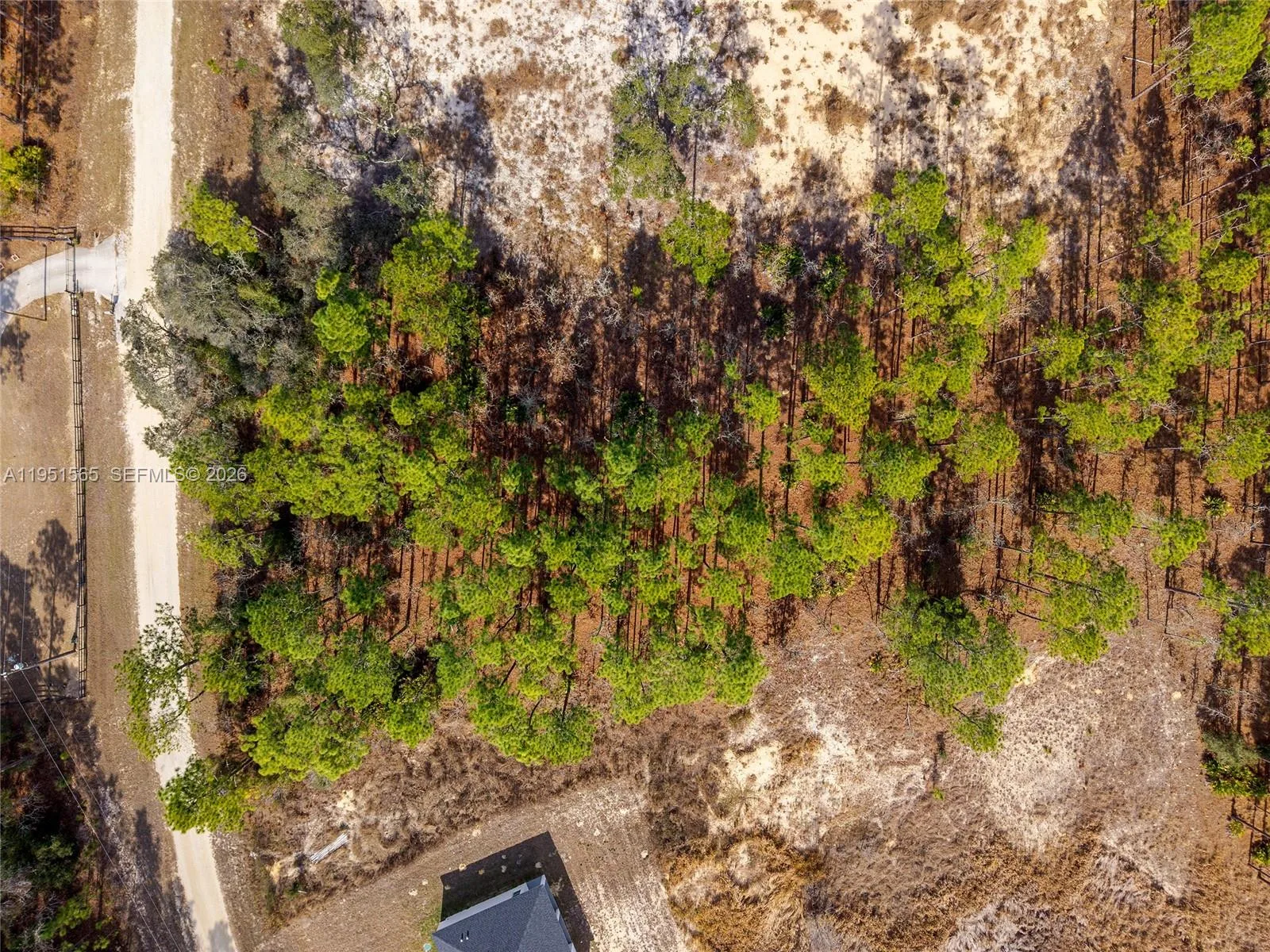 TBD SW 128th Terrace Road, Ocala, FL 34481 photo 12