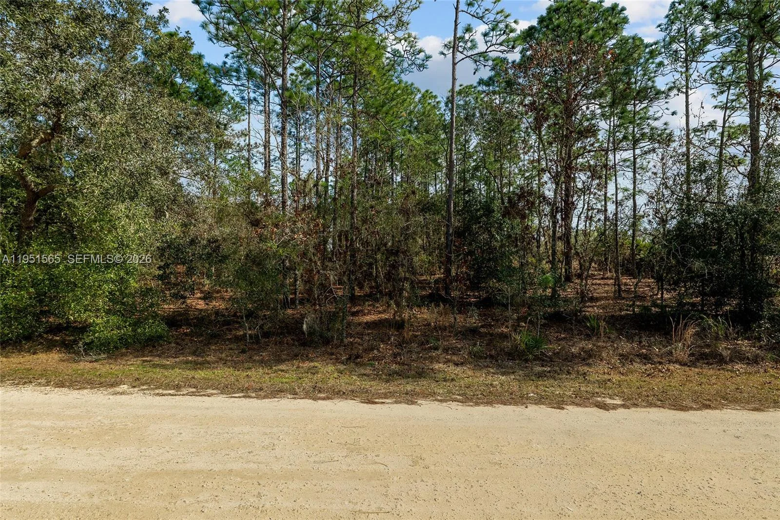 TBD SW 128th Terrace Road, Ocala, FL 34481 photo 4