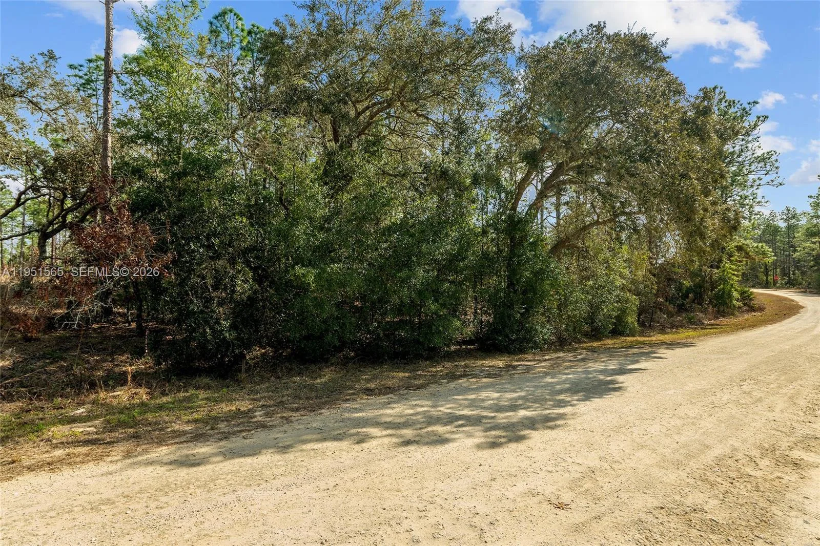 TBD SW 128th Terrace Road, Ocala, FL 34481 photo 5
