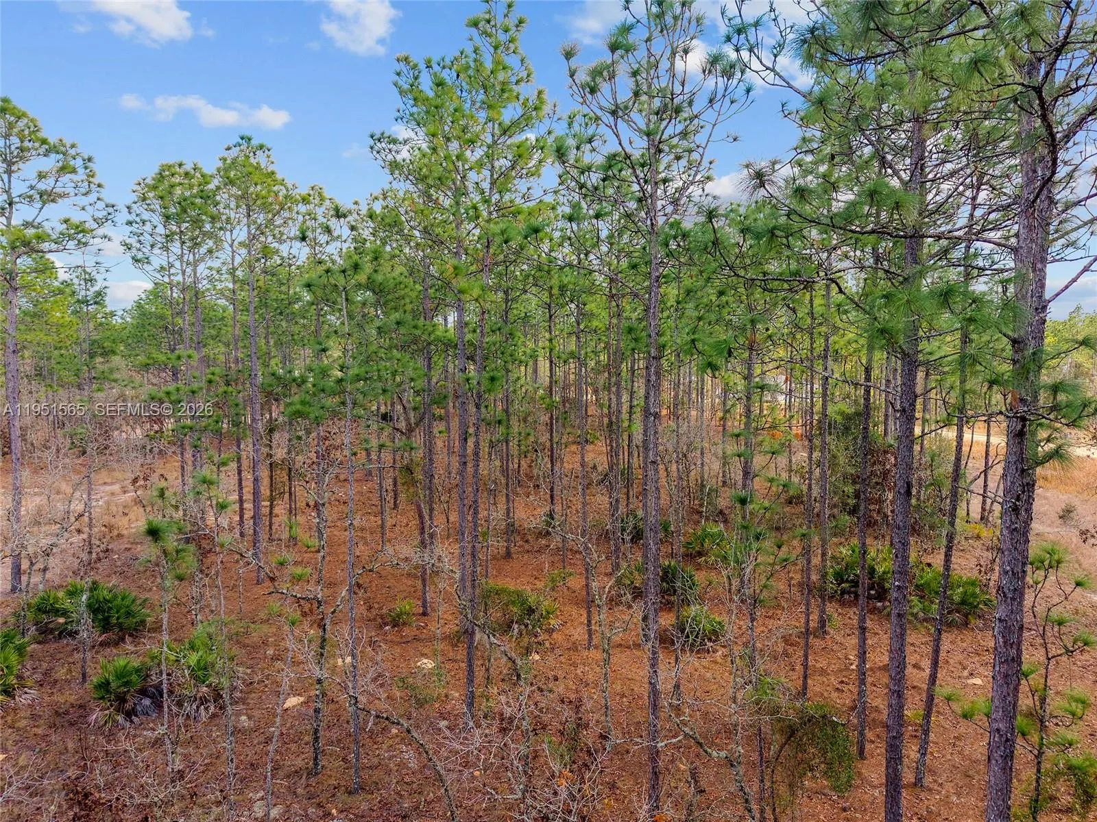 TBD SW 128th Terrace Road, Ocala, FL 34481 photo 9