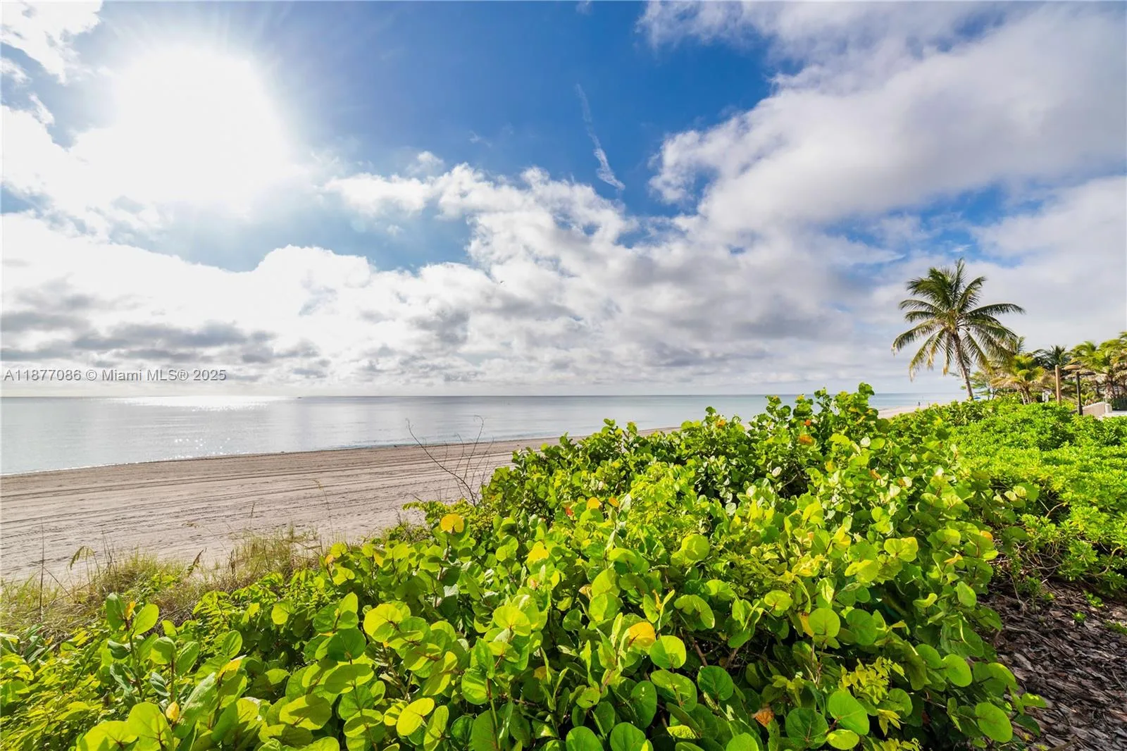 1904 S Ocean Dr # 604, Hallandale Beach, FL 33009 photo 3