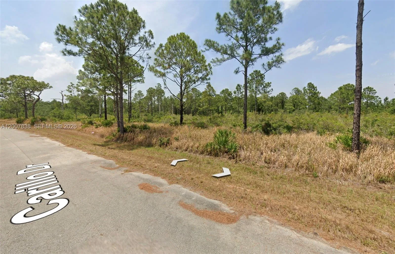 8134 CARILLO DR, Sebring, FL 33872 photo 2