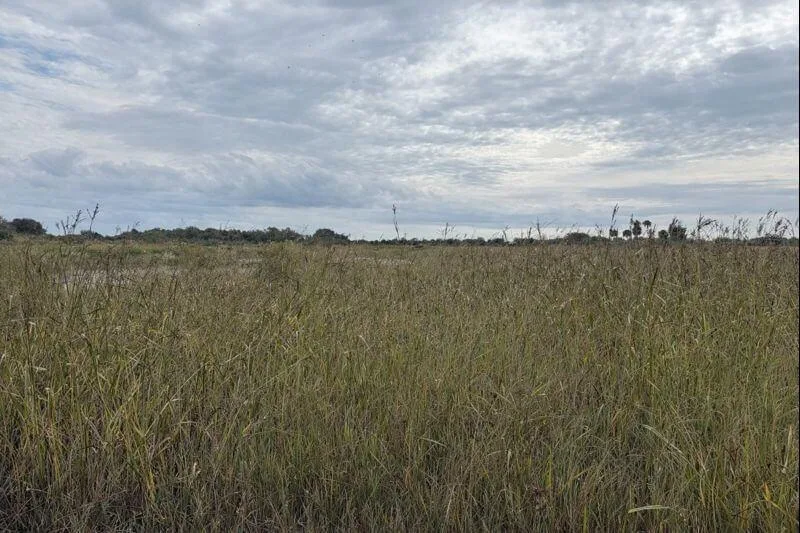 0 NW 306th Street, Okeechobee, FL 34972