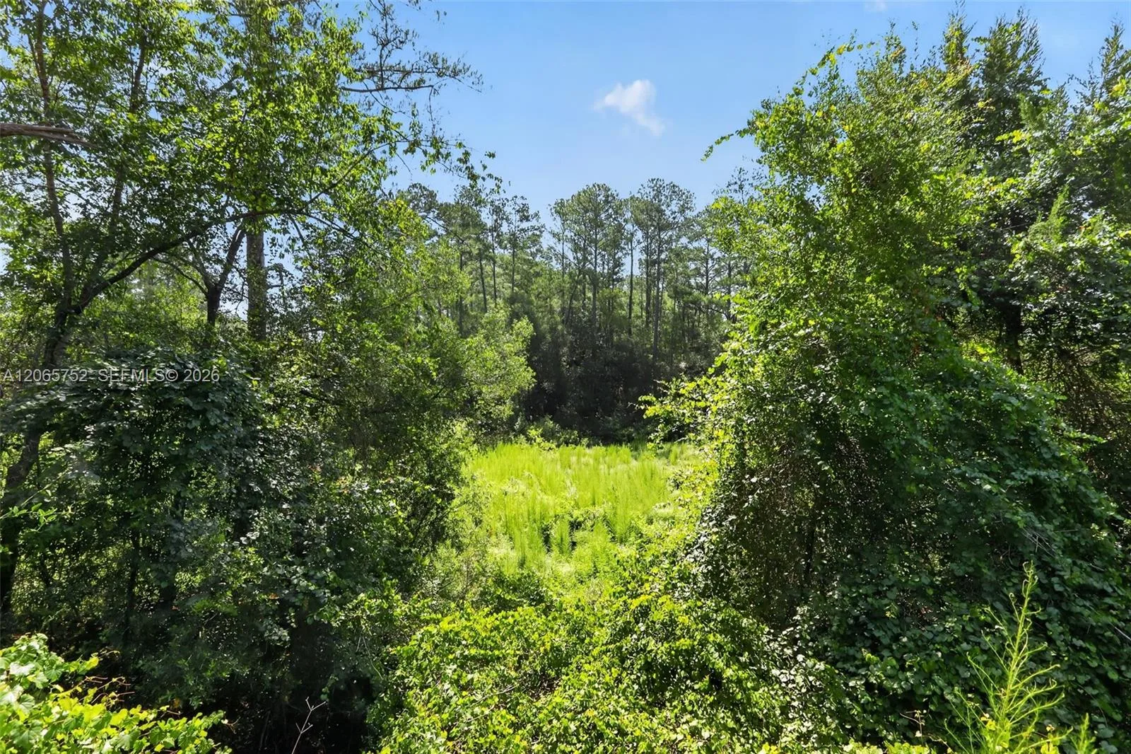 119 Ramsey dr, Other City - In The State Of Florida, FL 32666 photo 3