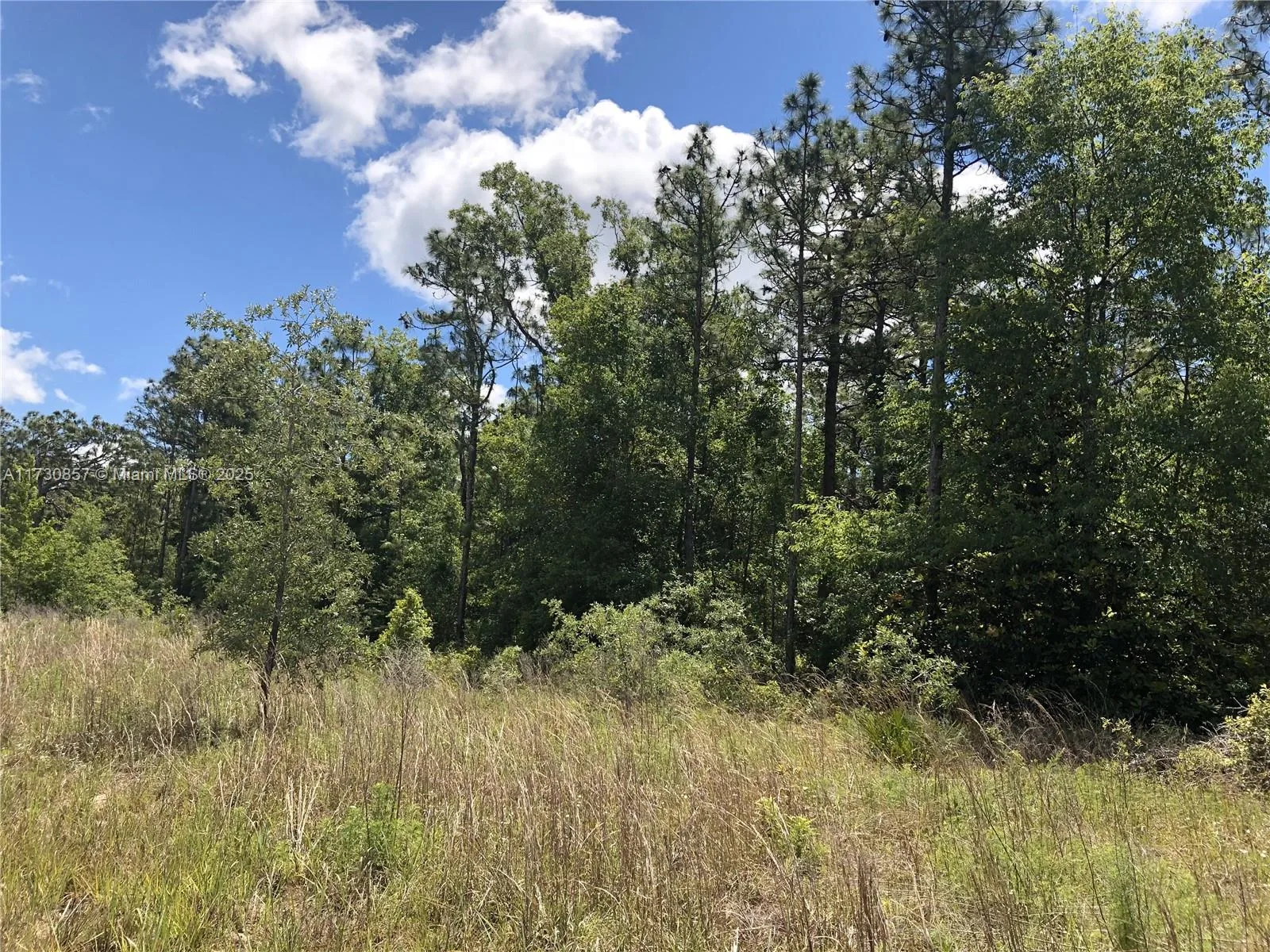 15107 Canvasback Rd, Other City - In The State Of Florida, FL 34614 photo 3