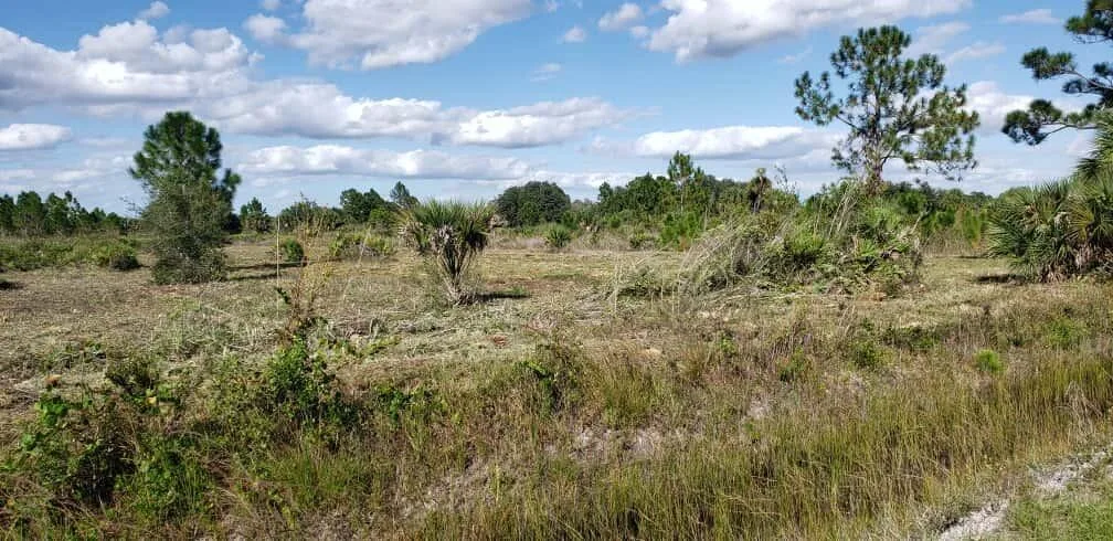 16963 NW 292nd Street, Okeechobee, FL 34972