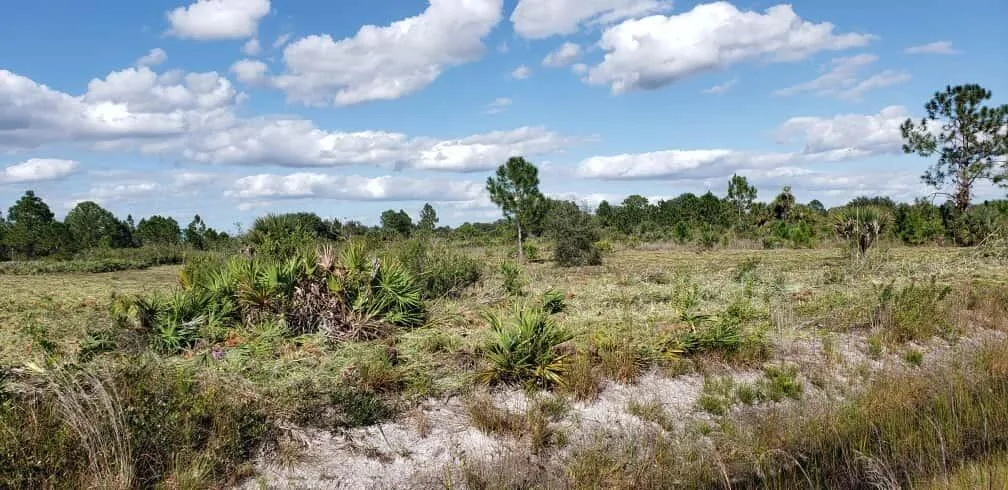 16963 NW 292nd Street, Okeechobee, FL 34972 photo 2