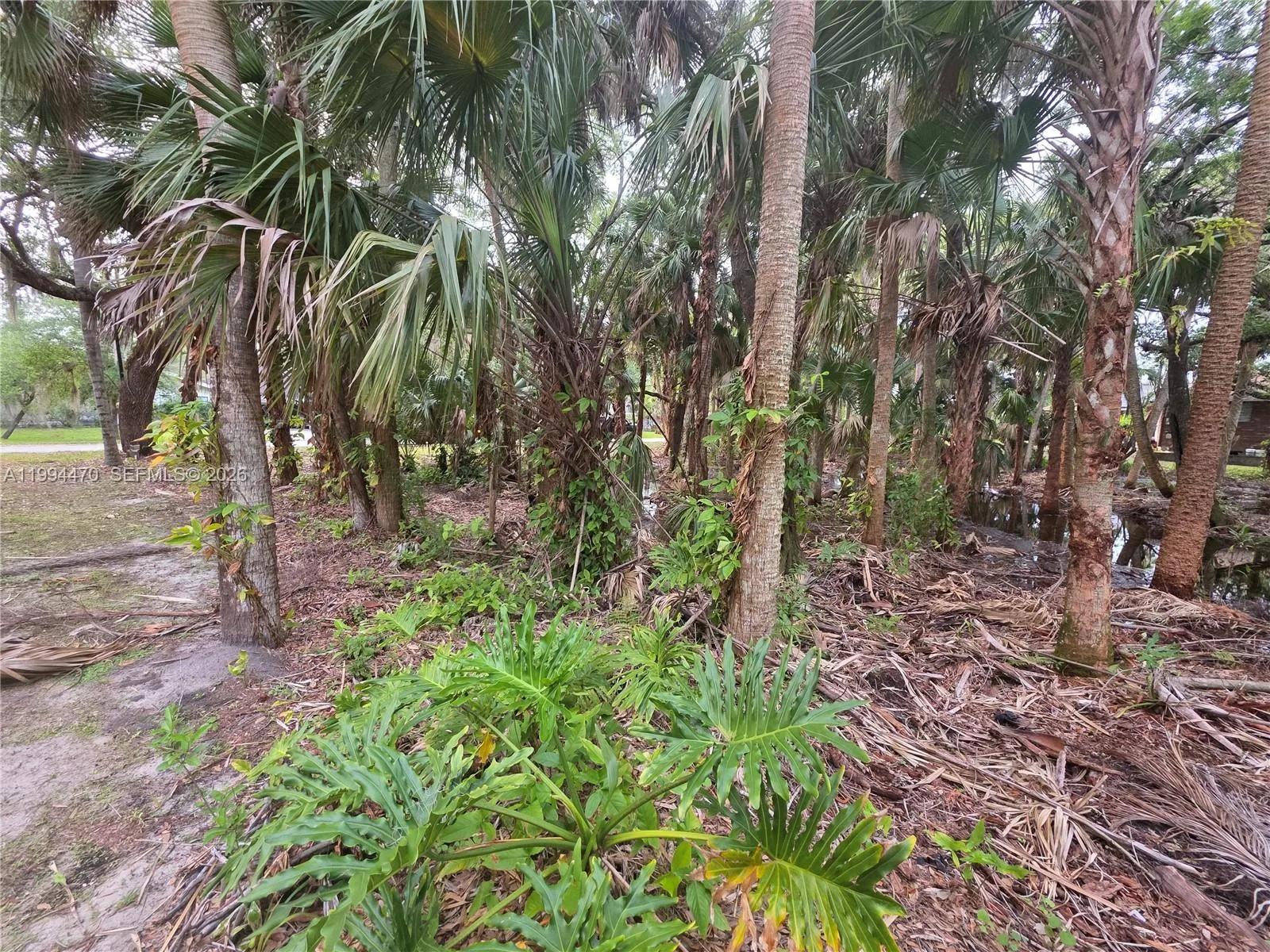 3602 Wilderness Dr W, Fort Pierce, FL 34982 photo 6