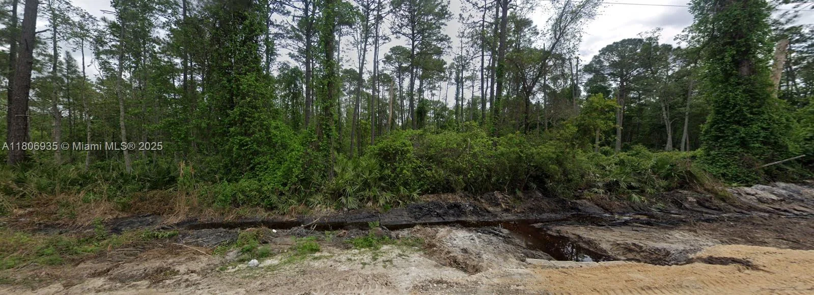 104 Mallard Rd, Other City - In The State Of Florida, FL 32189 photo 2