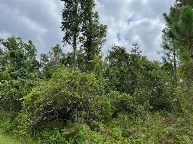 1123 Greenfield Street, Lake Placid, FL 33852 photo 10