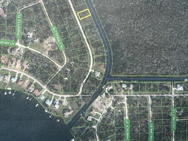 1123 Greenfield Street, Lake Placid, FL 33852 photo 11