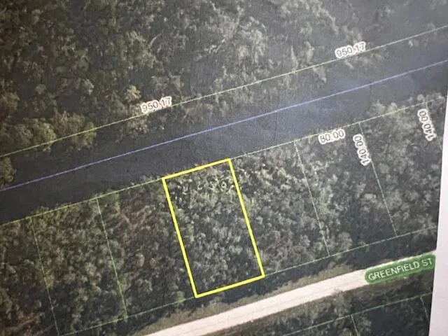 1123 Greenfield Street, Lake Placid, FL 33852 photo 2