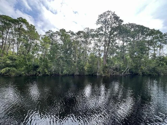 1123 Greenfield Street, Lake Placid, FL 33852 photo 3