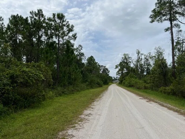 1123 Greenfield Street, Lake Placid, FL 33852 photo 5