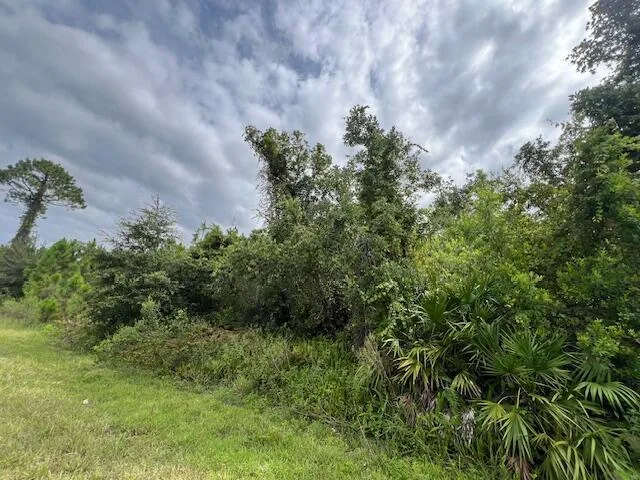 1123 Greenfield Street, Lake Placid, FL 33852 photo 6