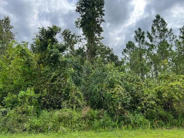 1123 Greenfield Street, Lake Placid, FL 33852 photo 7