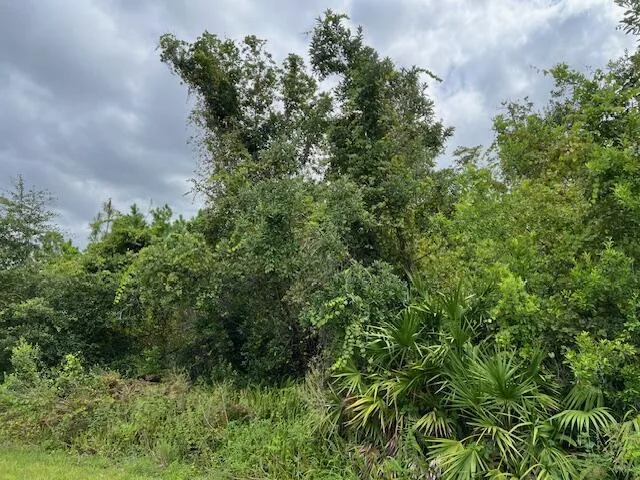 1123 Greenfield Street, Lake Placid, FL 33852 photo 8