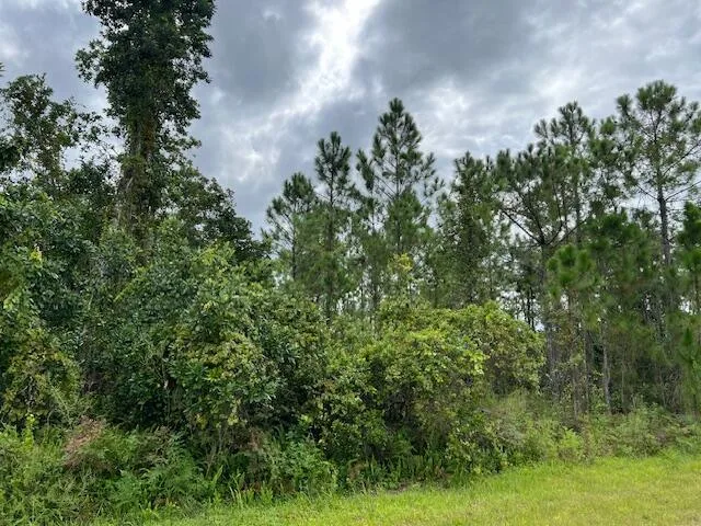 1123 Greenfield Street, Lake Placid, FL 33852 photo 9