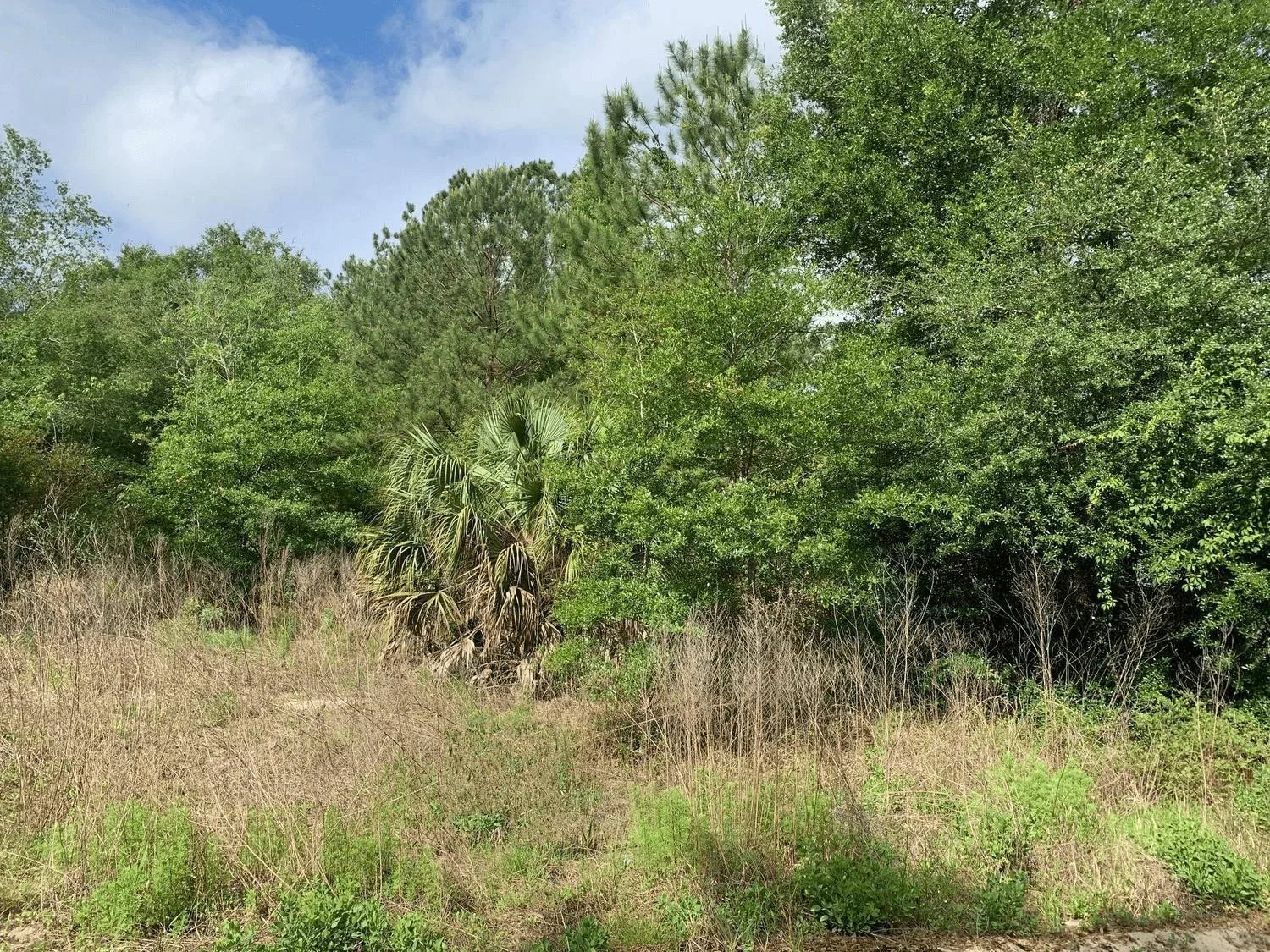 0 Douglas Drive, FL 32148