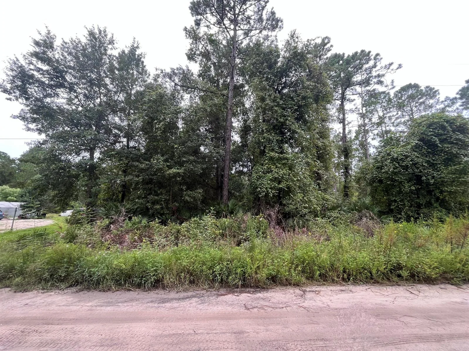 0 Hickory Nut Trail, FL 32189