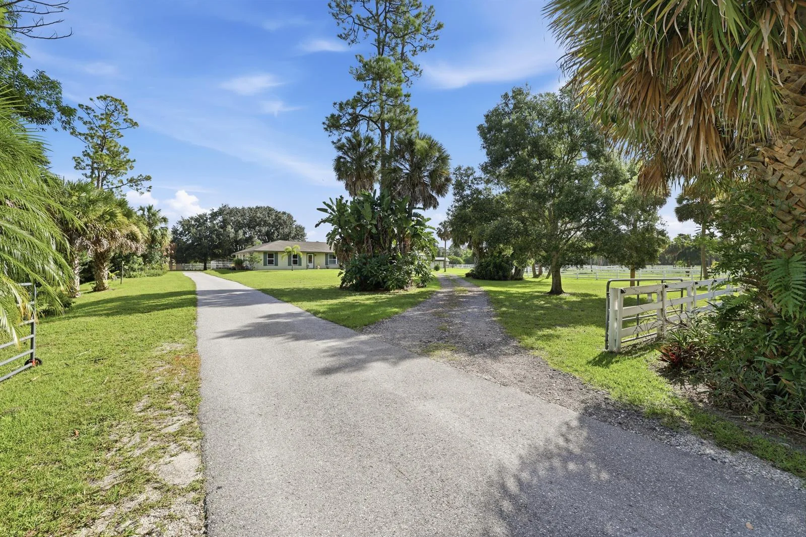 14095 BIDDEX Road, FL 33470 photo 4