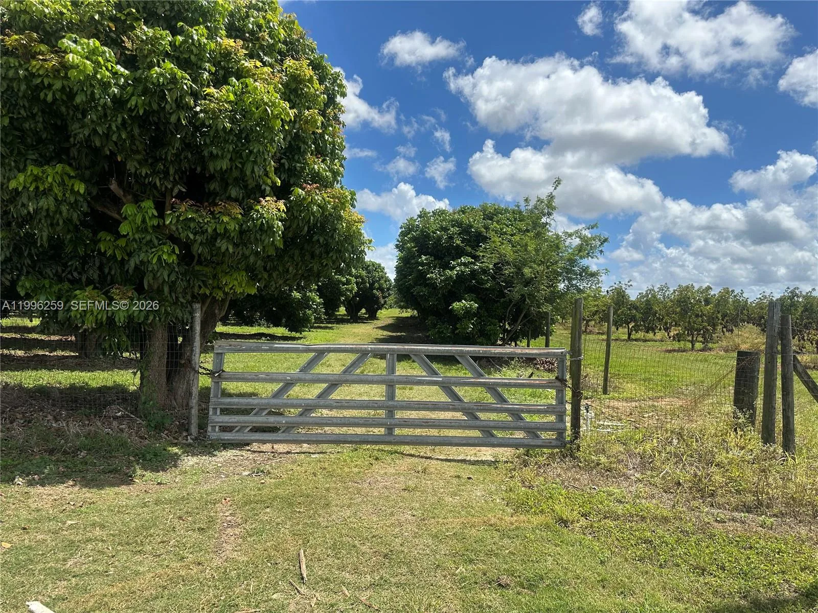 206XX SW 344 ST, Homestead, FL 33034 photo 2