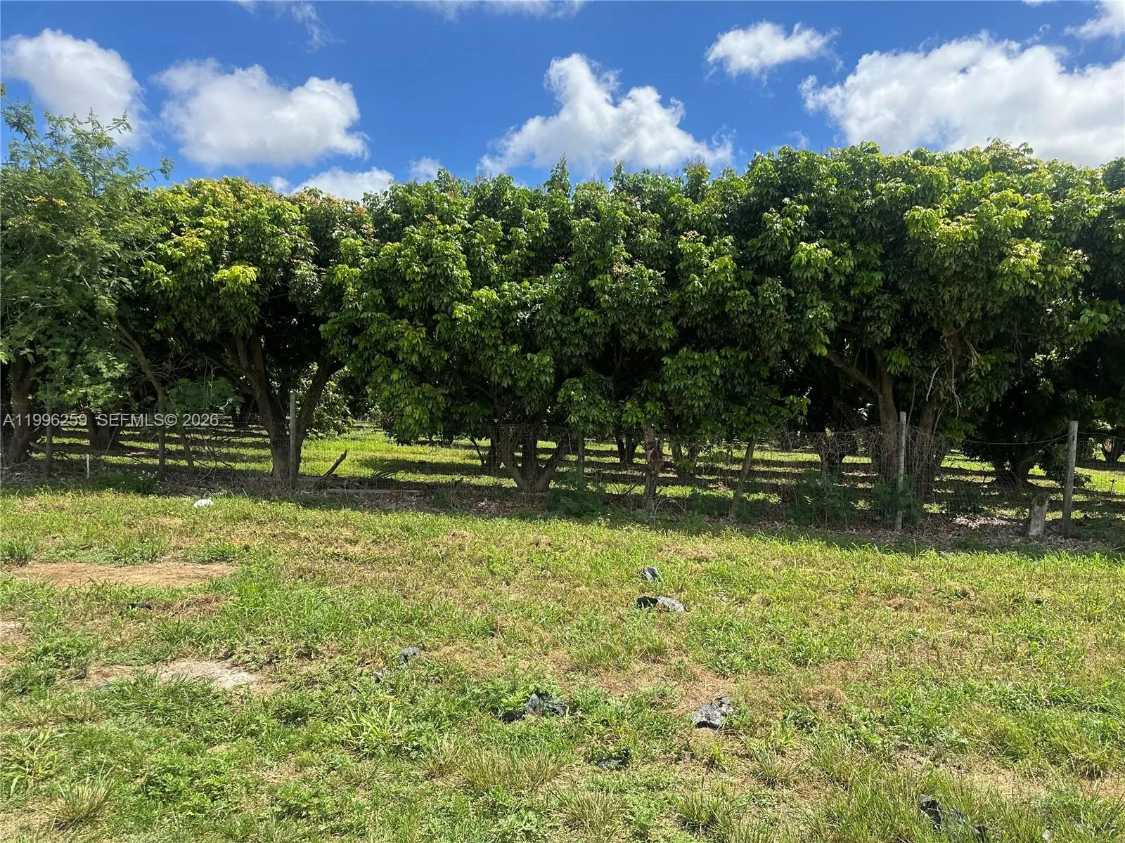 206XX SW 344 ST, Homestead, FL 33034 photo 3