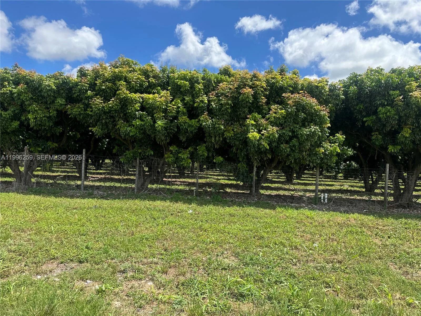 206XX SW 344 ST, Homestead, FL 33034 photo 4
