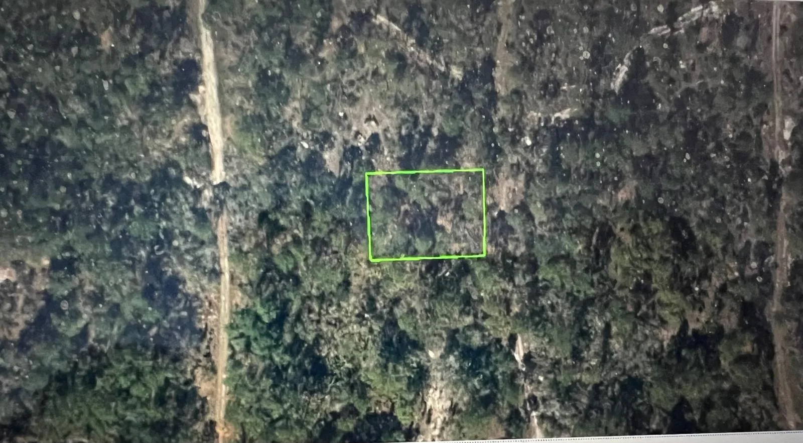 248 Suwanner Drive, Lake Placid, FL 33852 photo 7