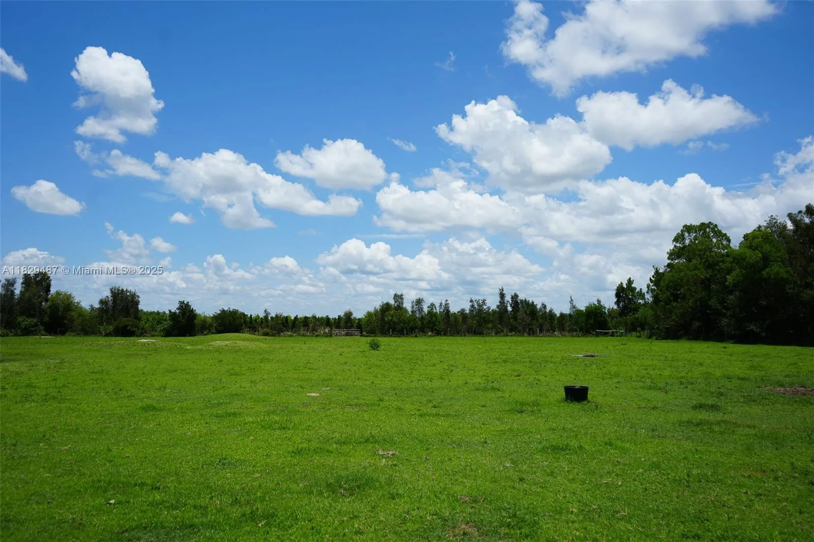 Angus Lane, Fort Myers FL 33905 photo 4