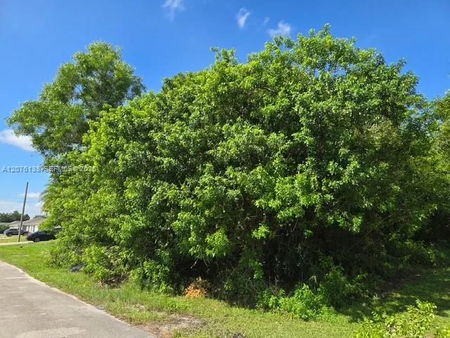 166 SW Milburn Cir, Port St. Lucie, FL 34953 photo 2