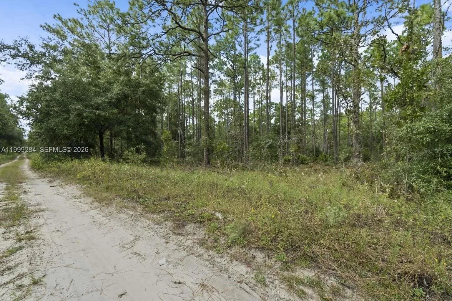0 SW 30th ST, Ocala, FL 34481 photo 3