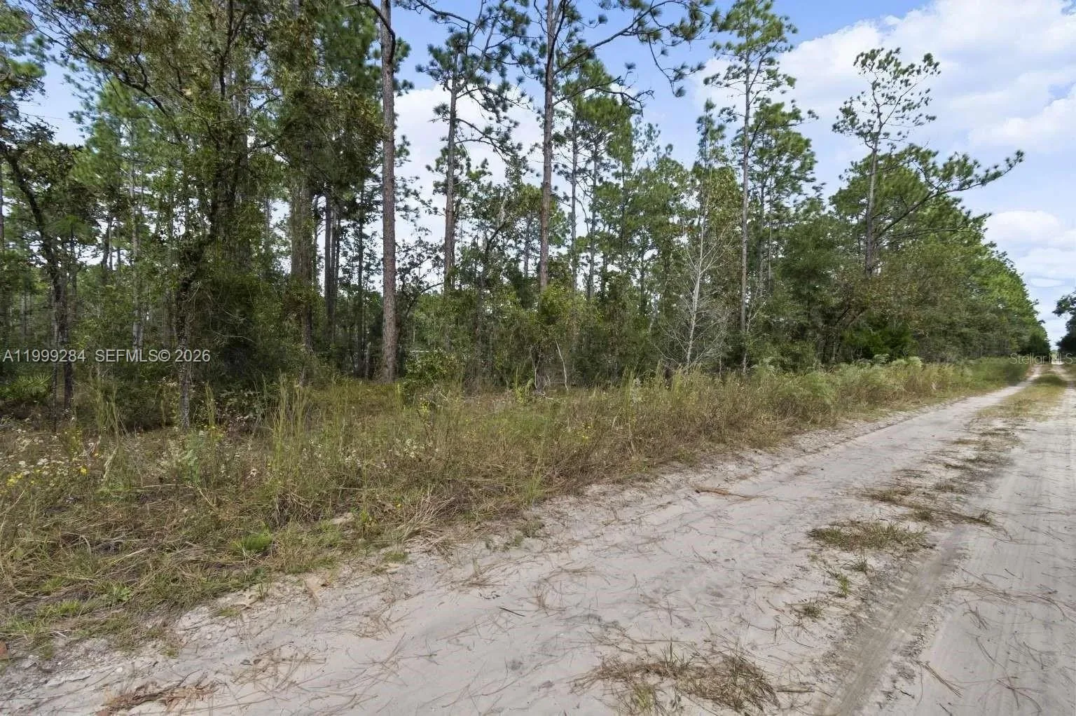 0 SW 30th ST, Ocala, FL 34481 photo 6