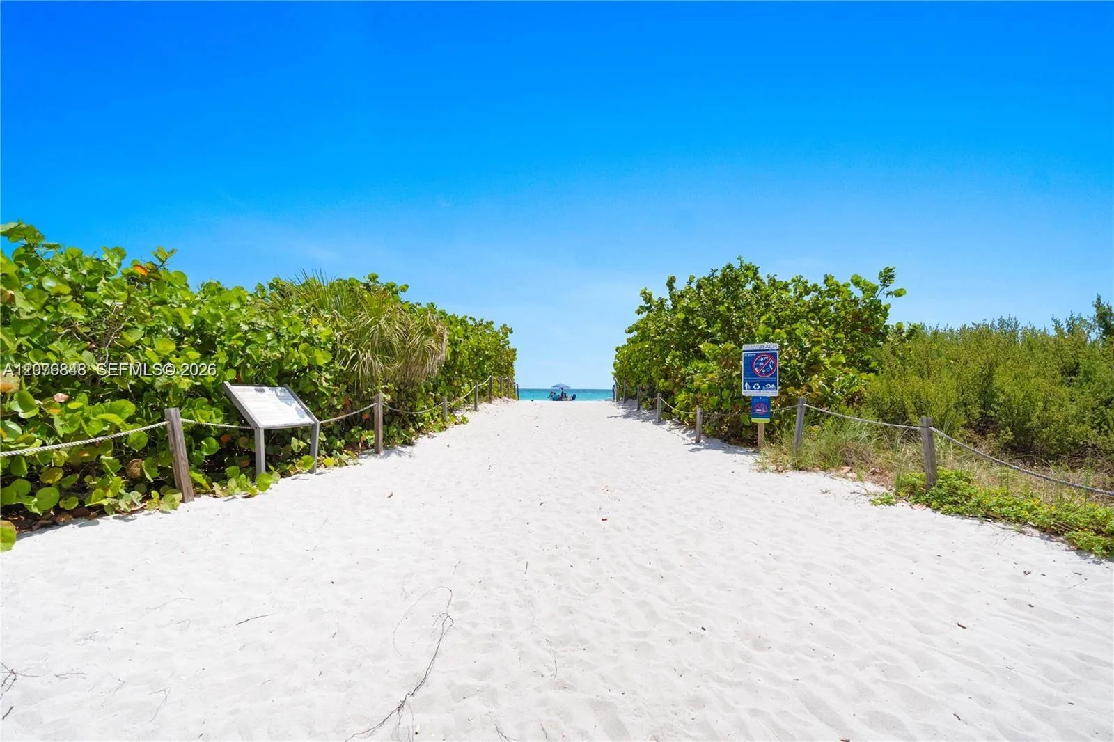6450 Collins Ave # 205, Miami Beach, FL 33141 photo 7