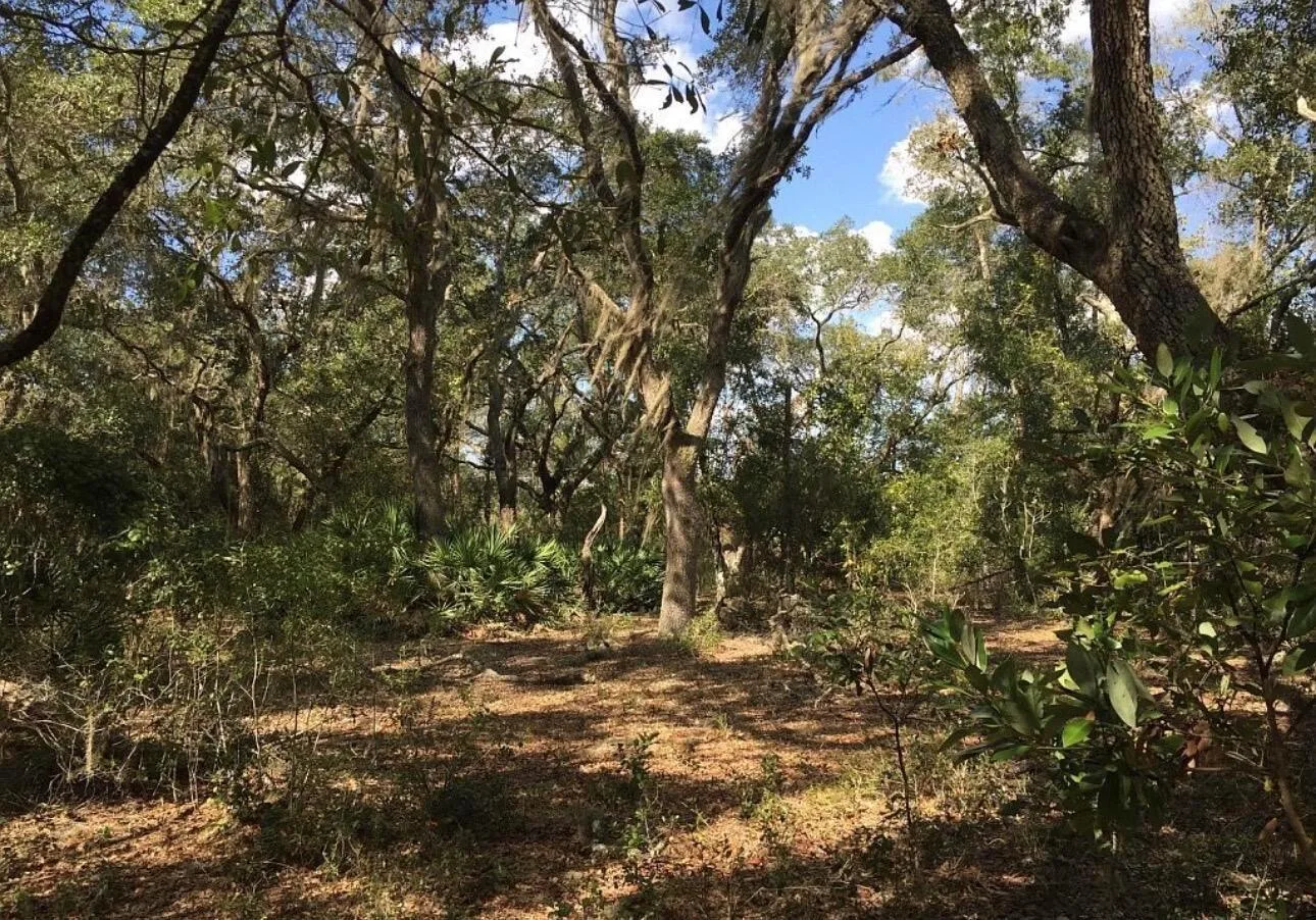 8922 E Gulf To Lake Highway, Inverness, FL 34450