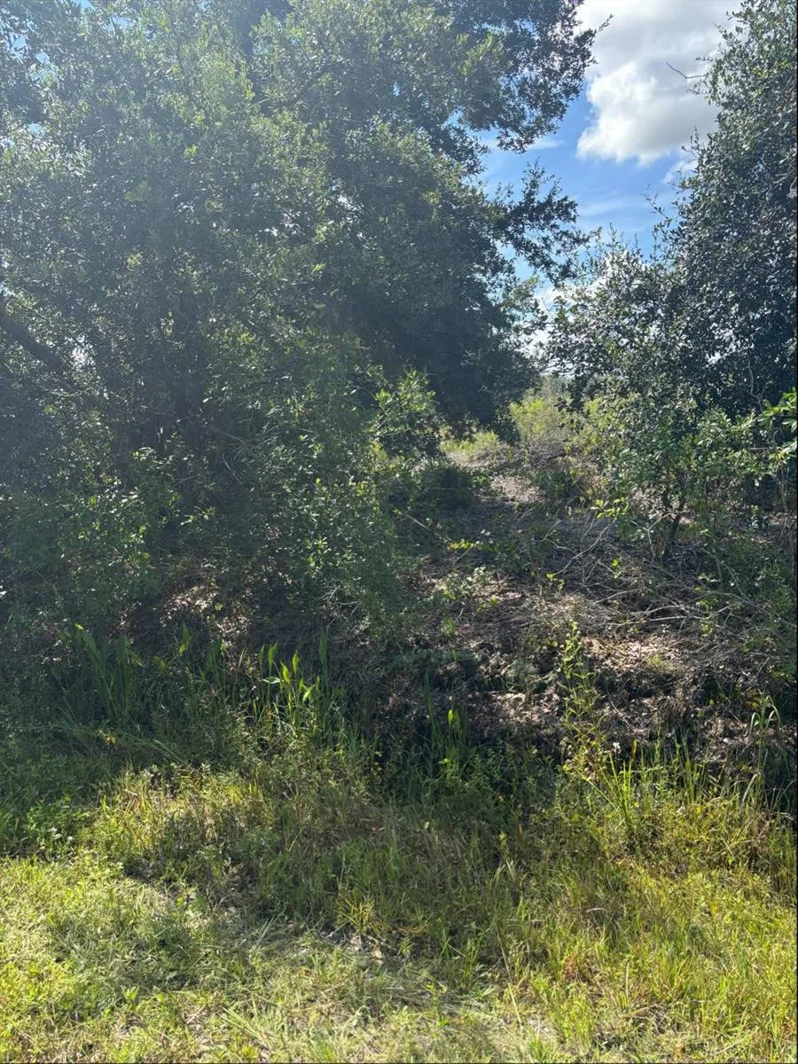 16014 NW 282ND Street, Okeechobee, FL 34972