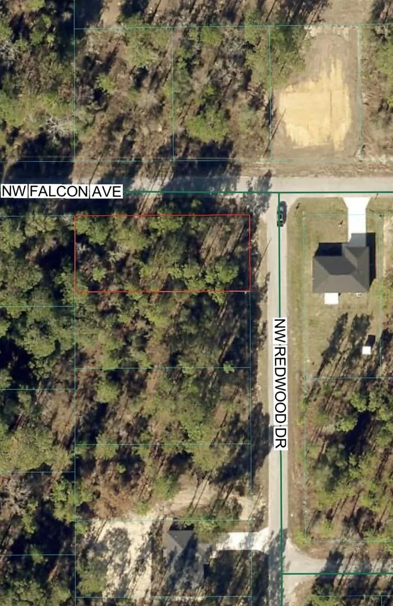 Tbd NW Redwood Drive, FL 34431 photo 3