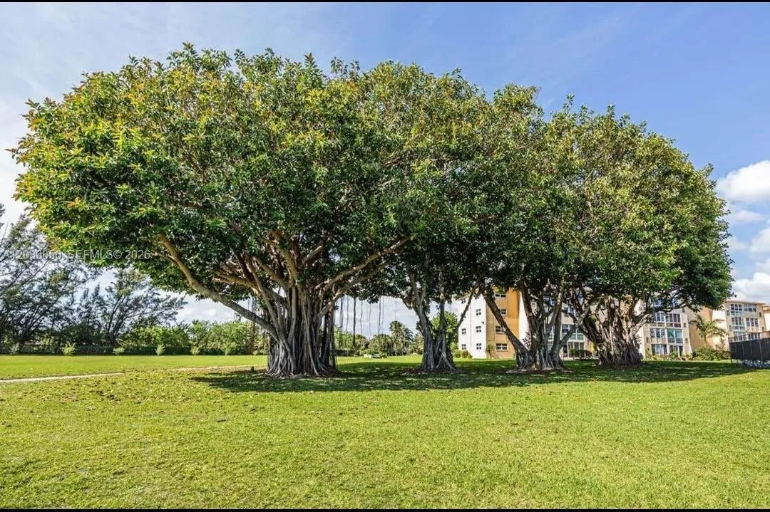 2615 NE 3rd Ct # 4030, Boynton Beach, FL 33435 photo 13