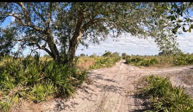 0 NW 318th Street, Okeechobee, FL 34972