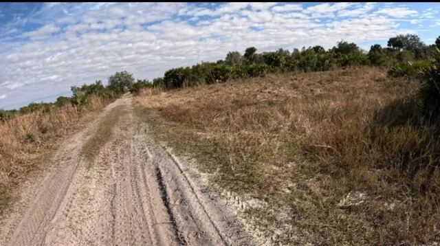 0 NW 318th Street, Okeechobee, FL 34972 photo 2