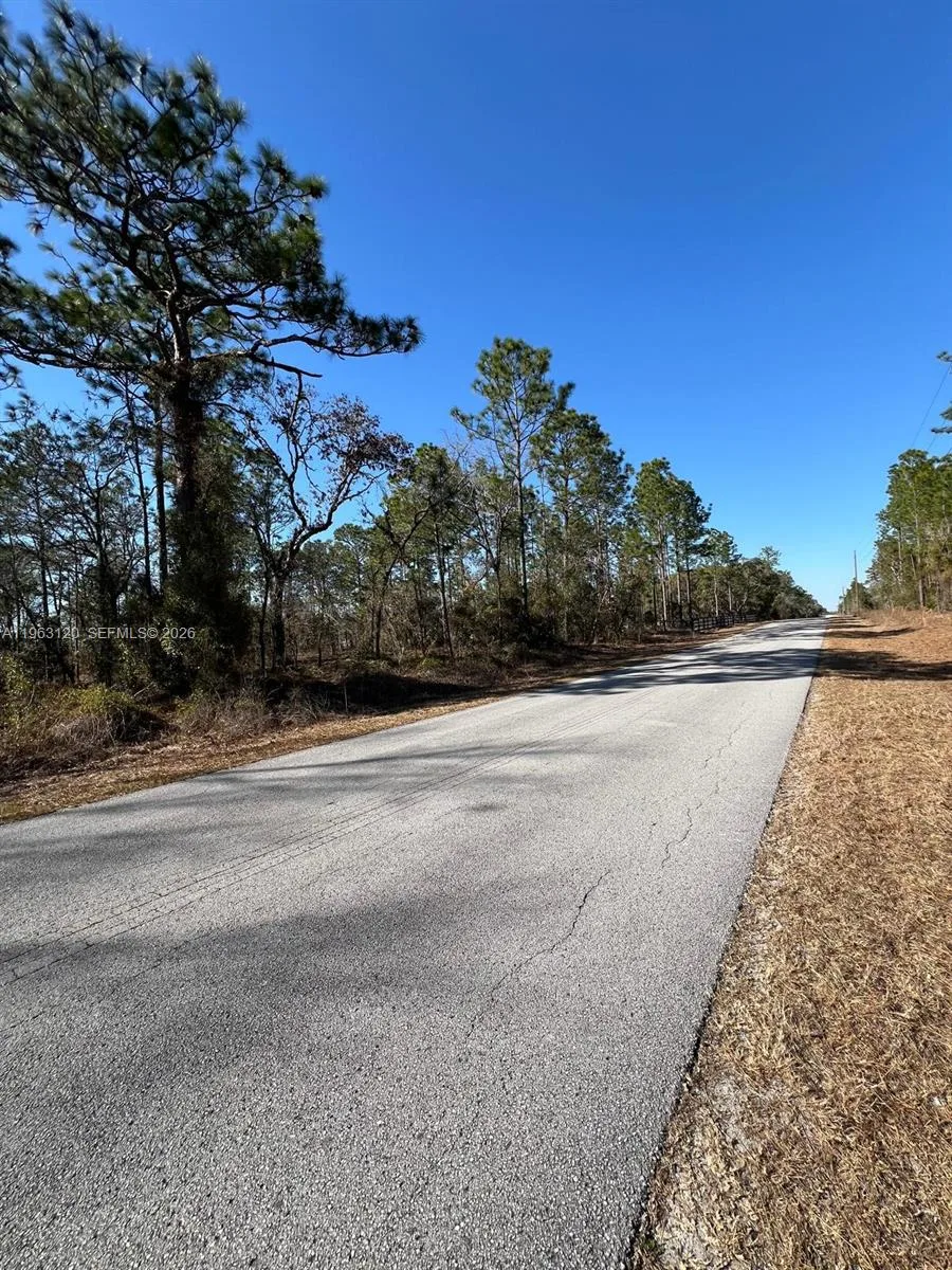 000 Rainbow Lakes Estates, Other City - In The State Of Florida, FL 34431 photo 6