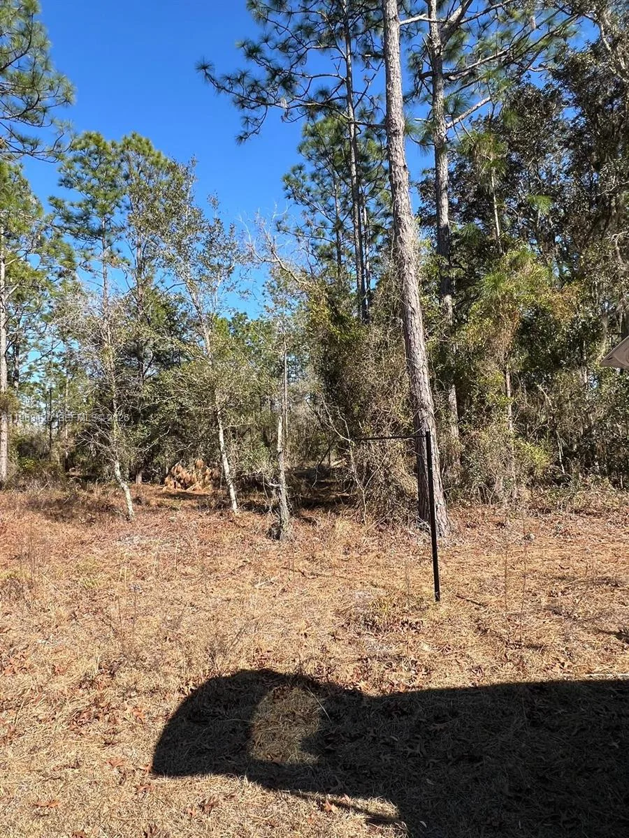 000 Rainbow Lakes Estates, Other City - In The State Of Florida, FL 34431 photo 7