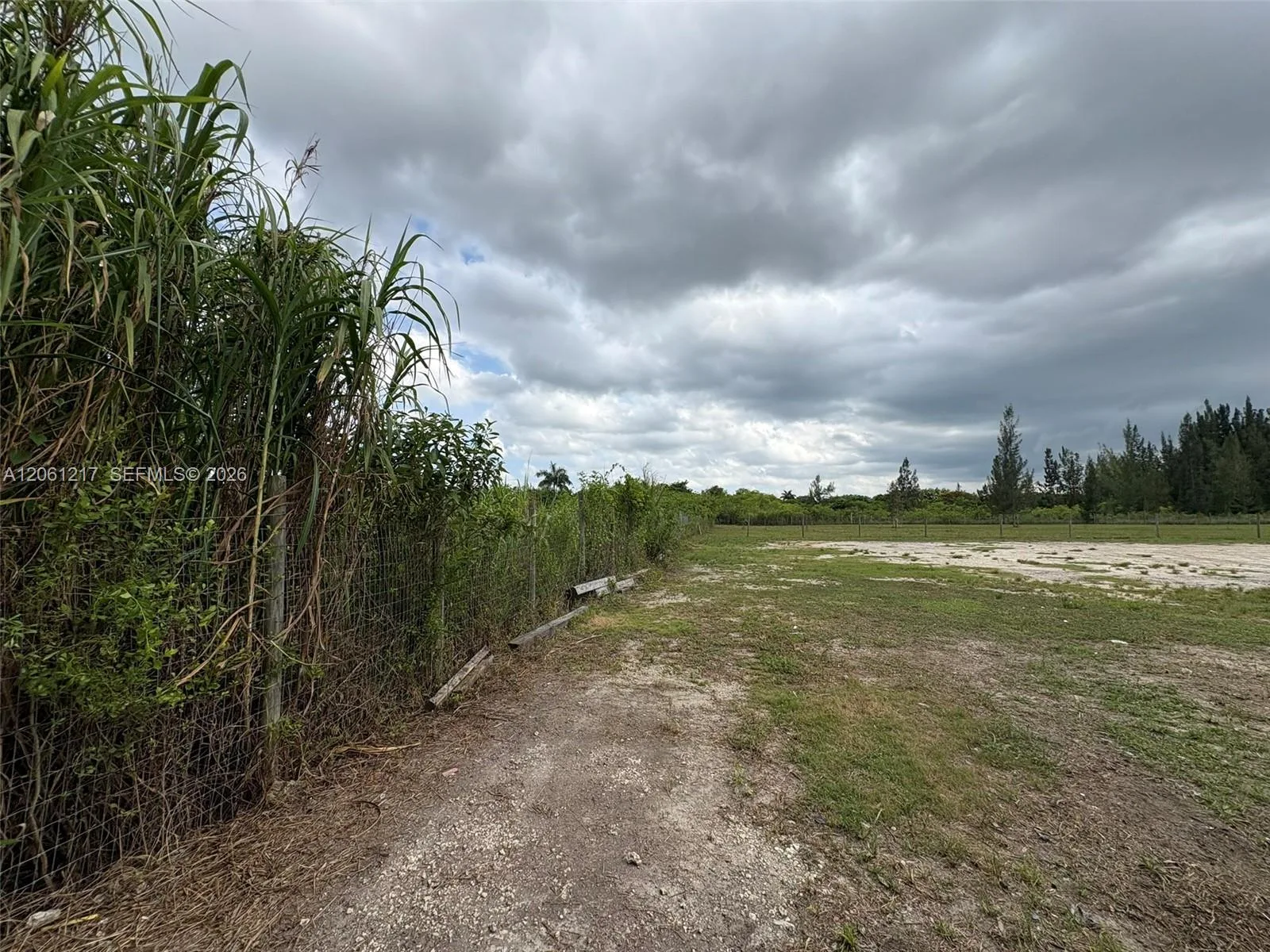 12495 SW 199 AVE, Miami, FL 33196 photo 9