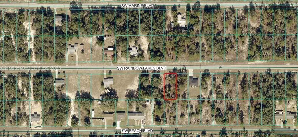 22624 SW RAINBOW LAKES BLVD, Other City - In The State Of Florida, FL 34431 photo 2